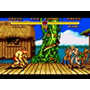 Télécharger Street Fighter 2