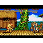 Street Fighter 2